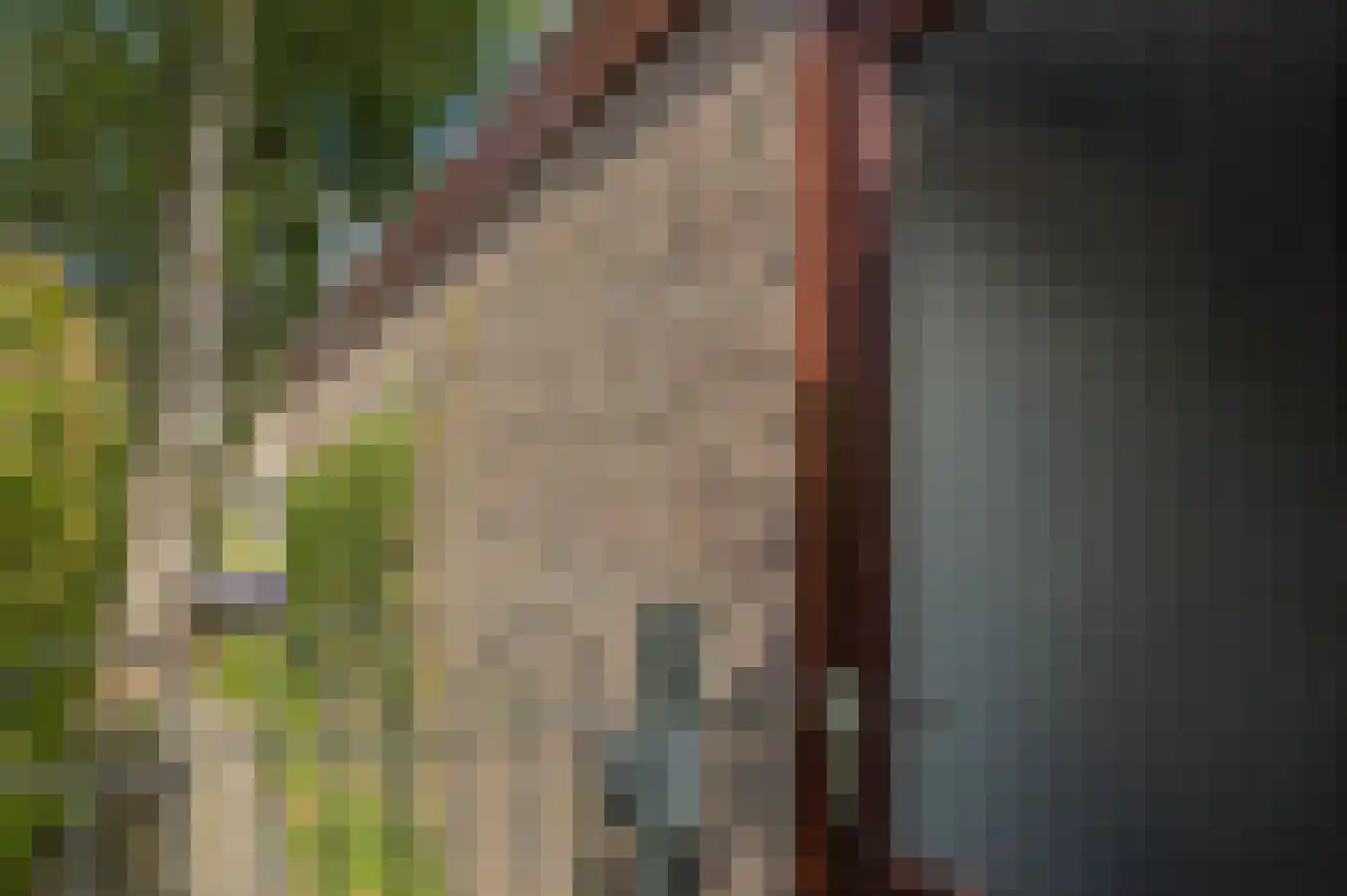 Peter van Anrooystraat 19 Assen thumbnail 37
