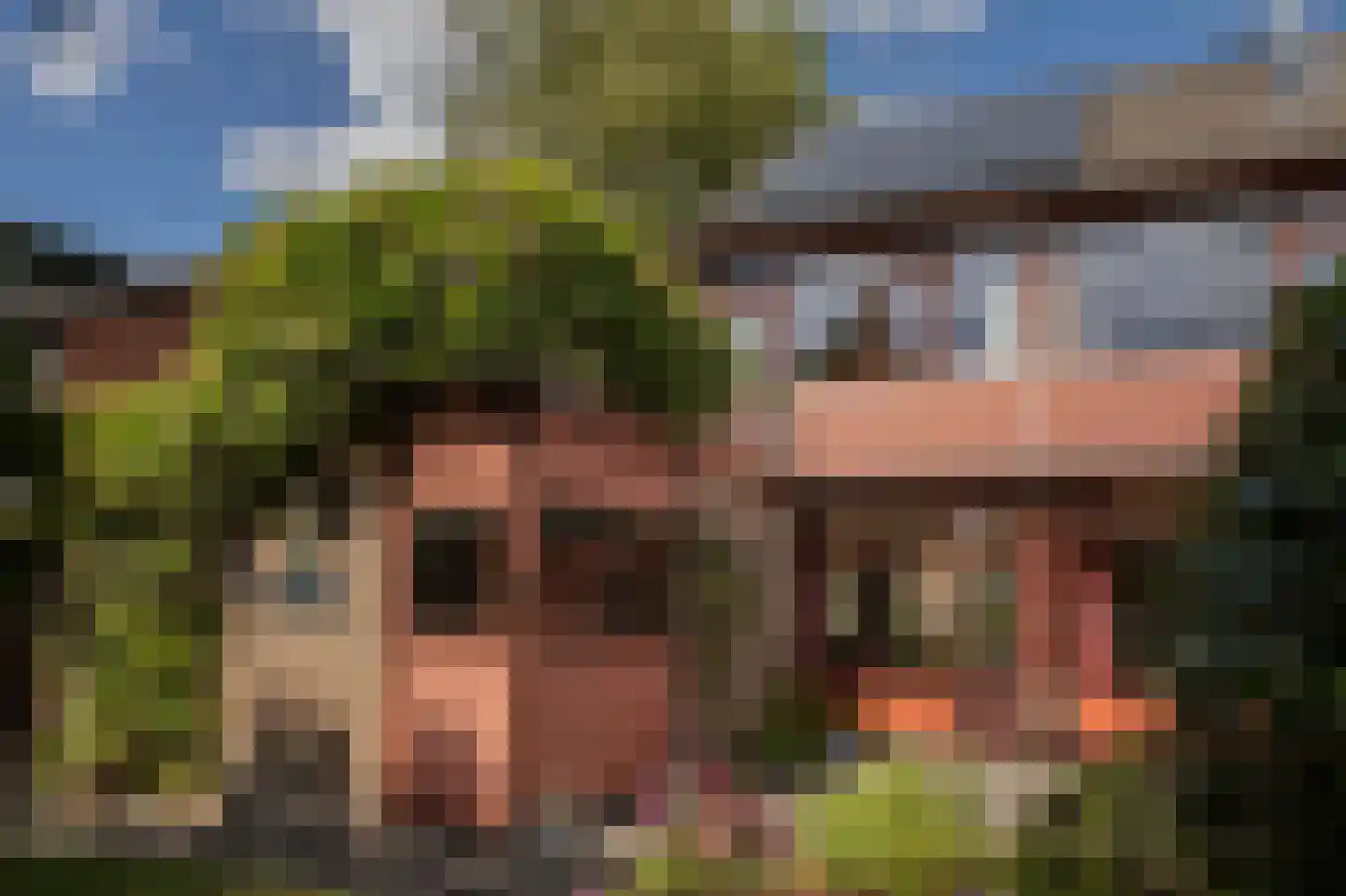 Peter van Anrooystraat 19 Assen thumbnail 4