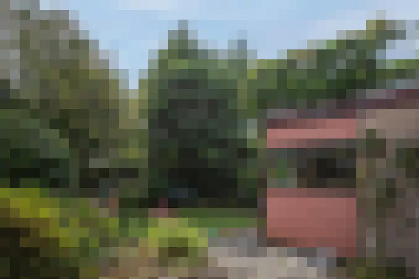 Peter van Anrooystraat 19 Assen thumbnail 41