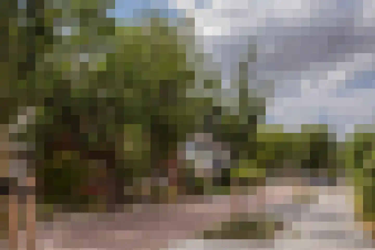 Peter van Anrooystraat 19 Assen thumbnail 7