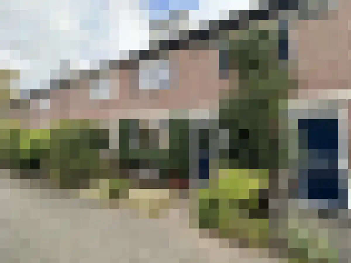 Peter van Anrooystraat 21 in Amersfoort