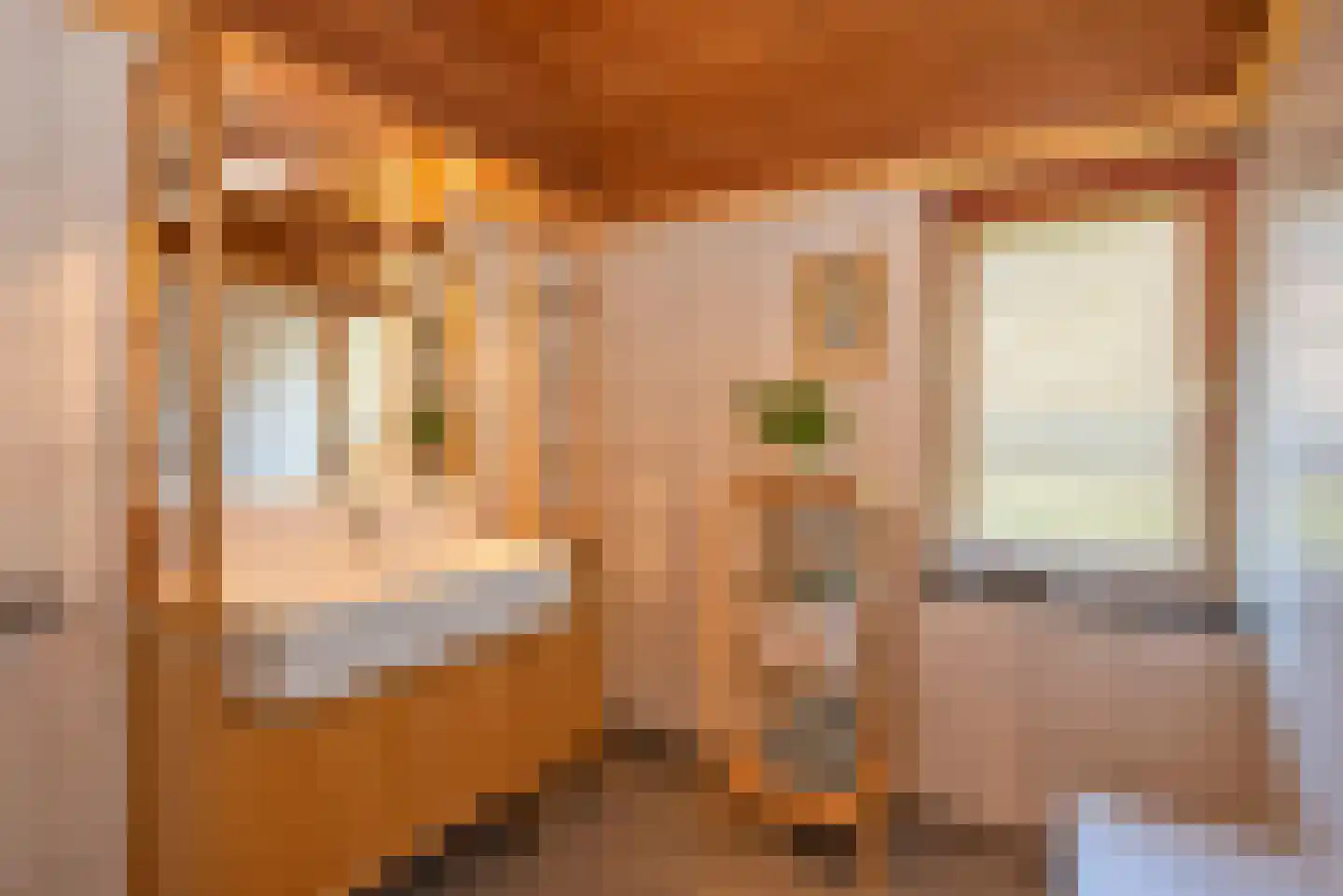 Peter van Anrooystraat 4 Hengelo thumbnail 32