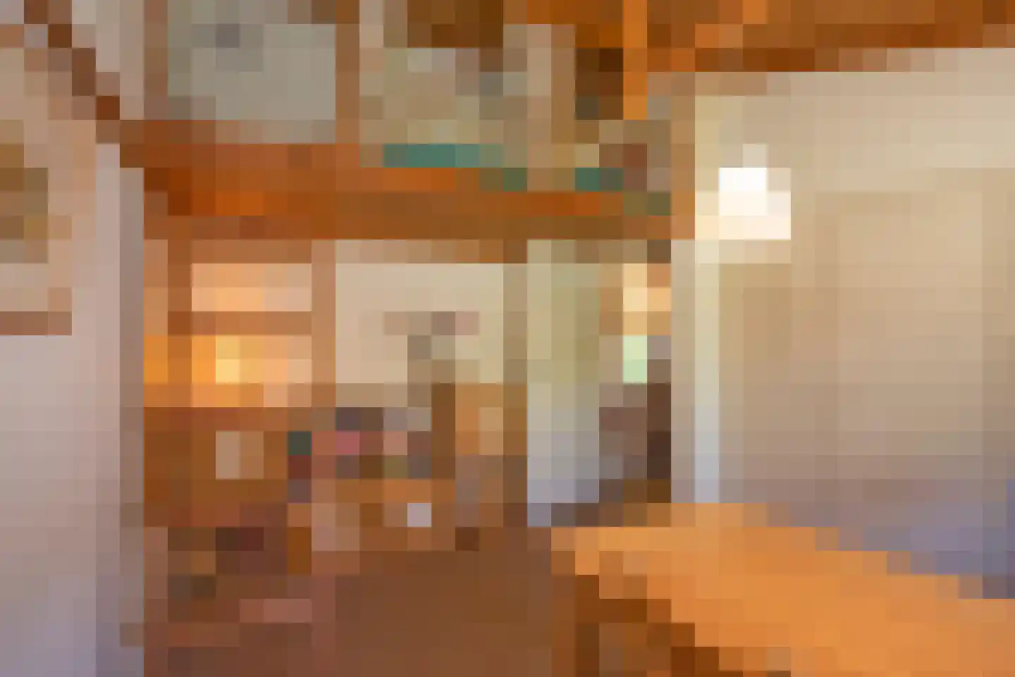 Peter van Anrooystraat 4 Hengelo thumbnail 36