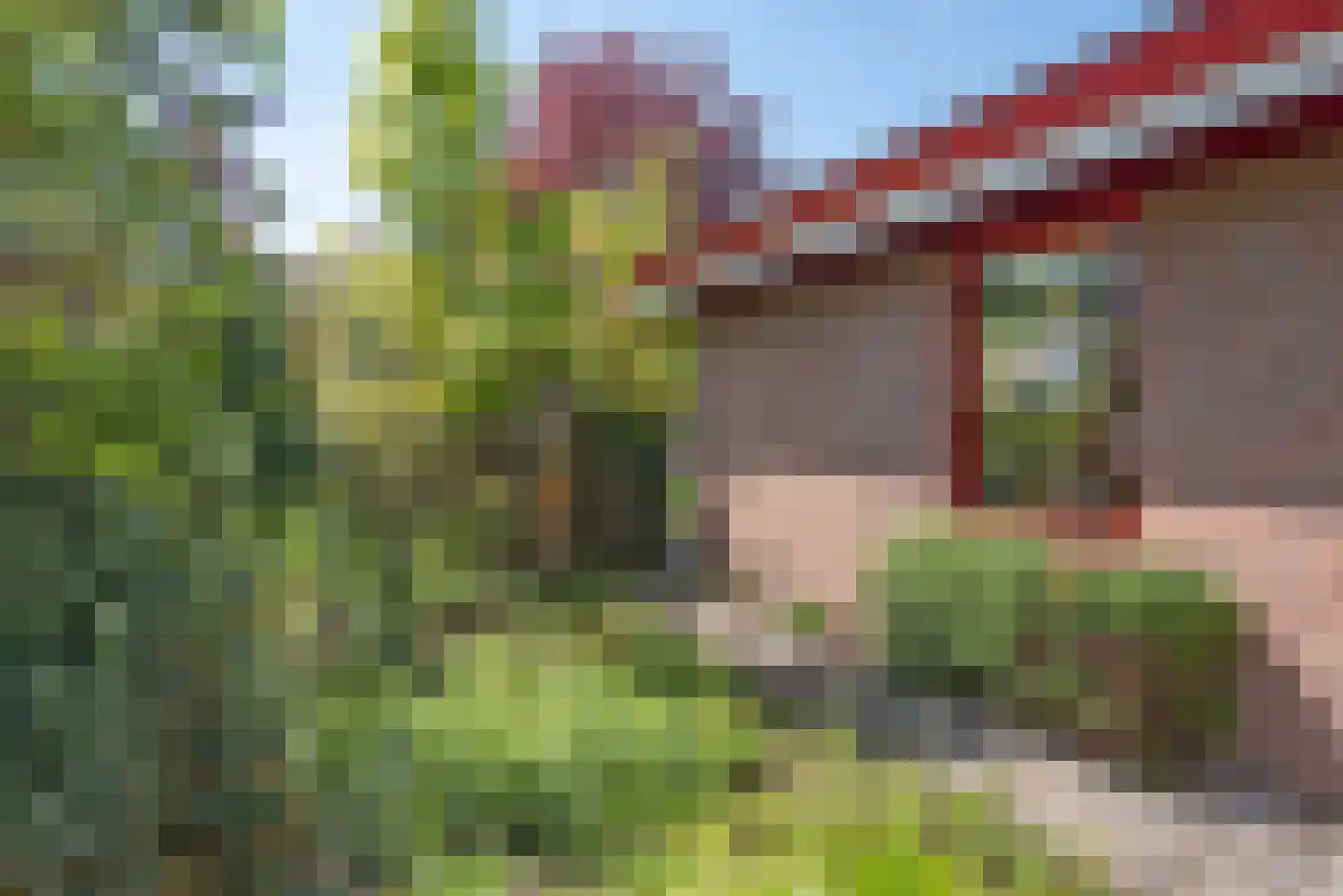 Peter van Anrooystraat 4 Hengelo thumbnail 49