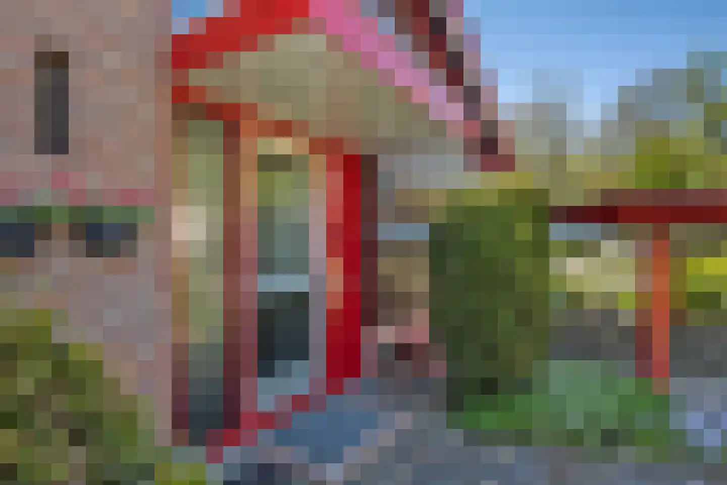 Peter van Anrooystraat 4 Hengelo thumbnail 5
