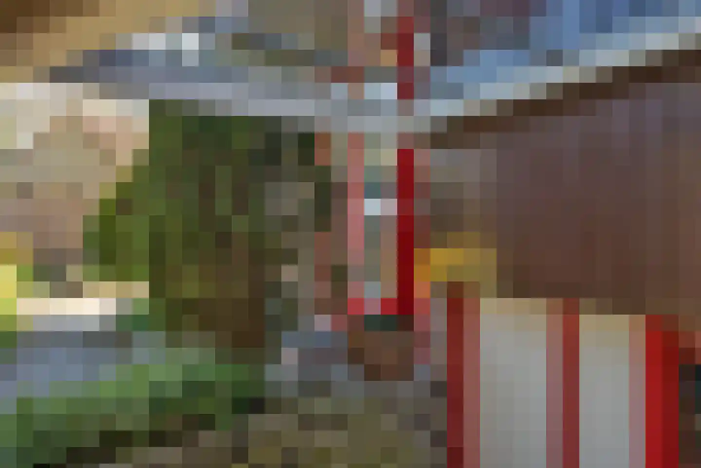 Peter van Anrooystraat 4 Hengelo thumbnail 52