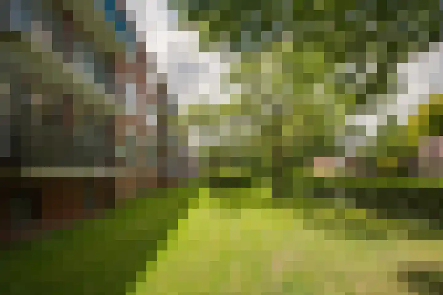 Peter van Anrooystraat 47 Leiden thumbnail 36