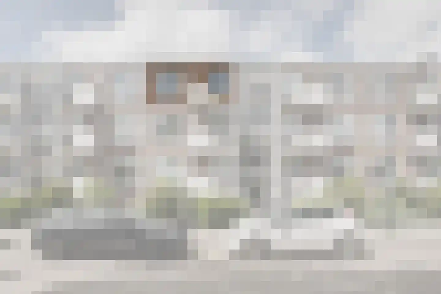 Peter van Anrooystraat 47 Leiden thumbnail 40