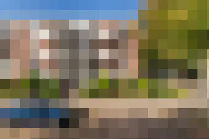 Peter van Anrooystraat 5 in Leiden