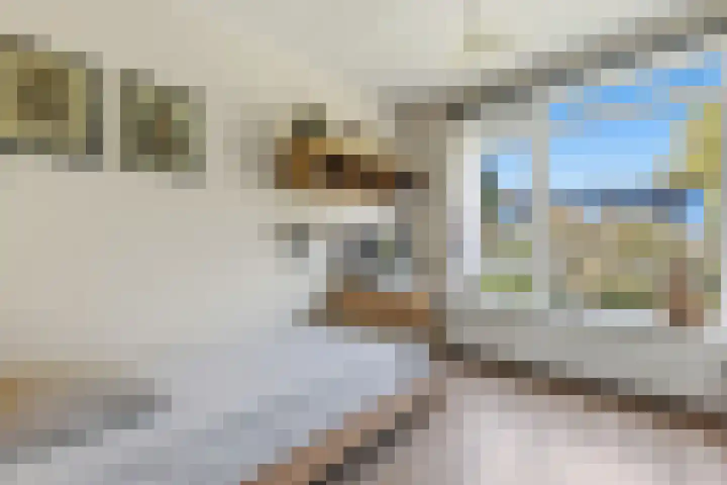 Peter van Anrooystraat 75 Leiden thumbnail 17