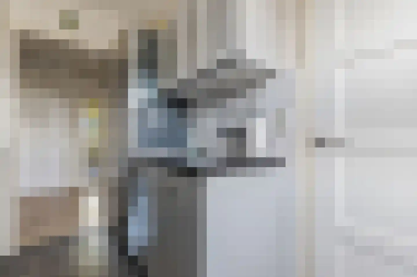 Peter van Anrooystraat 75 Leiden thumbnail 25