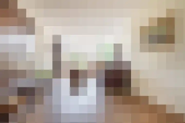 Peter van Velpenlaan 23 Odijk thumbnail 11