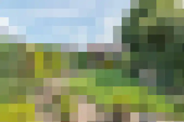 Peter van Velpenlaan 23 Odijk thumbnail 28