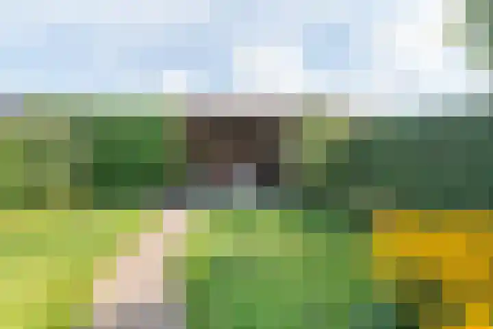 Peter van Velpenlaan 23 Odijk thumbnail 29