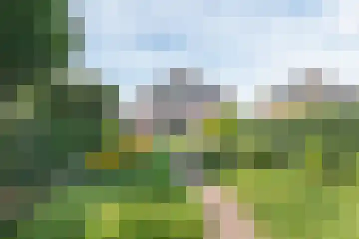 Peter van Velpenlaan 23 Odijk thumbnail 30