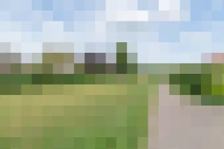 Peter van Velpenlaan 23 Odijk thumbnail 35