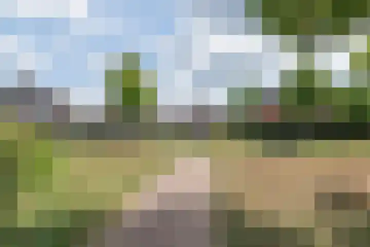 Peter van Velpenlaan 23 Odijk thumbnail 37