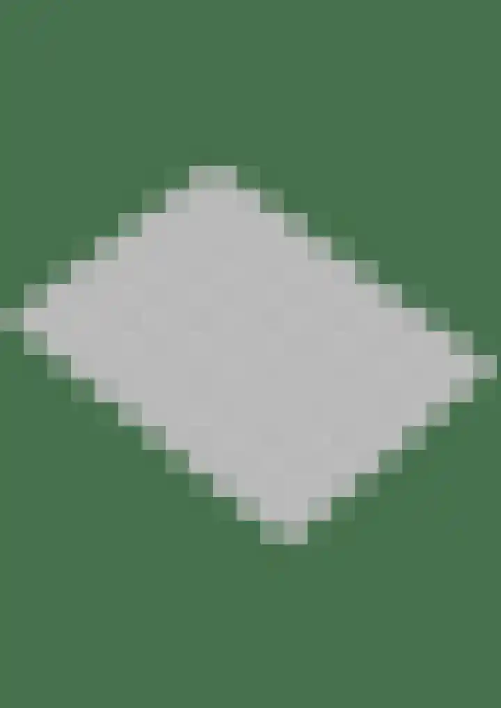 Peter van Velpenlaan 23 Odijk thumbnail 43