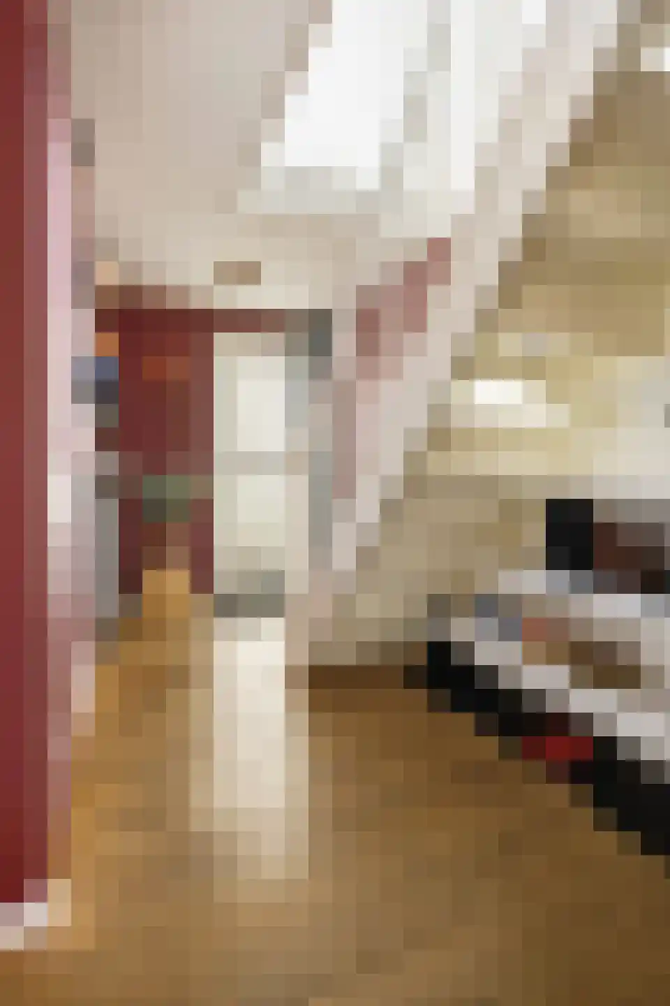 Peter Wotkehof 14 Amsterdam thumbnail 10