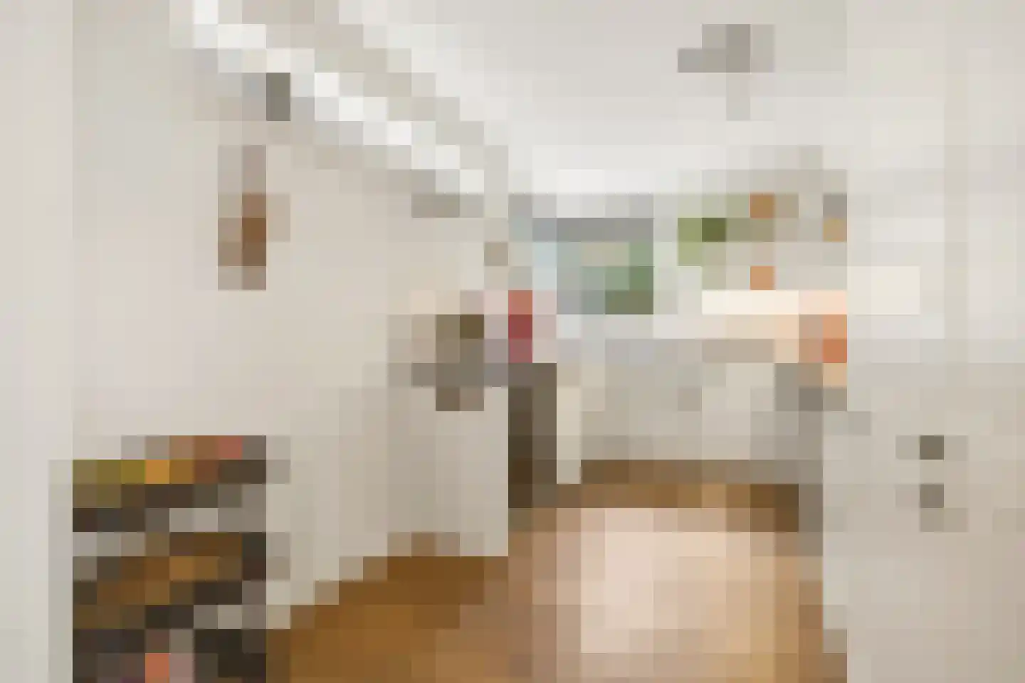 Peter Wotkehof 14 Amsterdam thumbnail 15