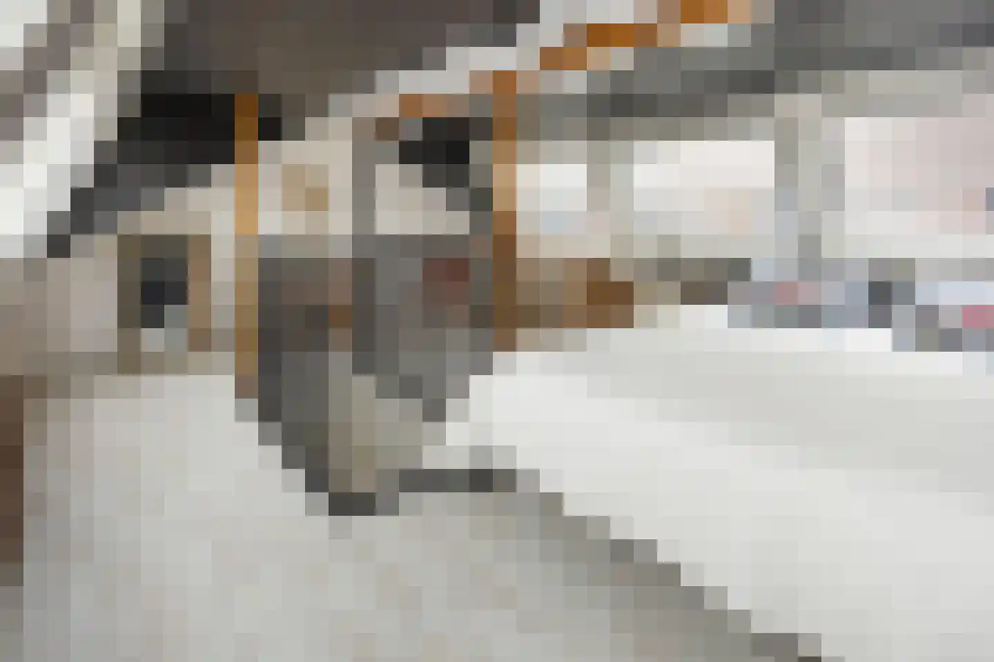 Peter Wotkehof 14 Amsterdam thumbnail 29