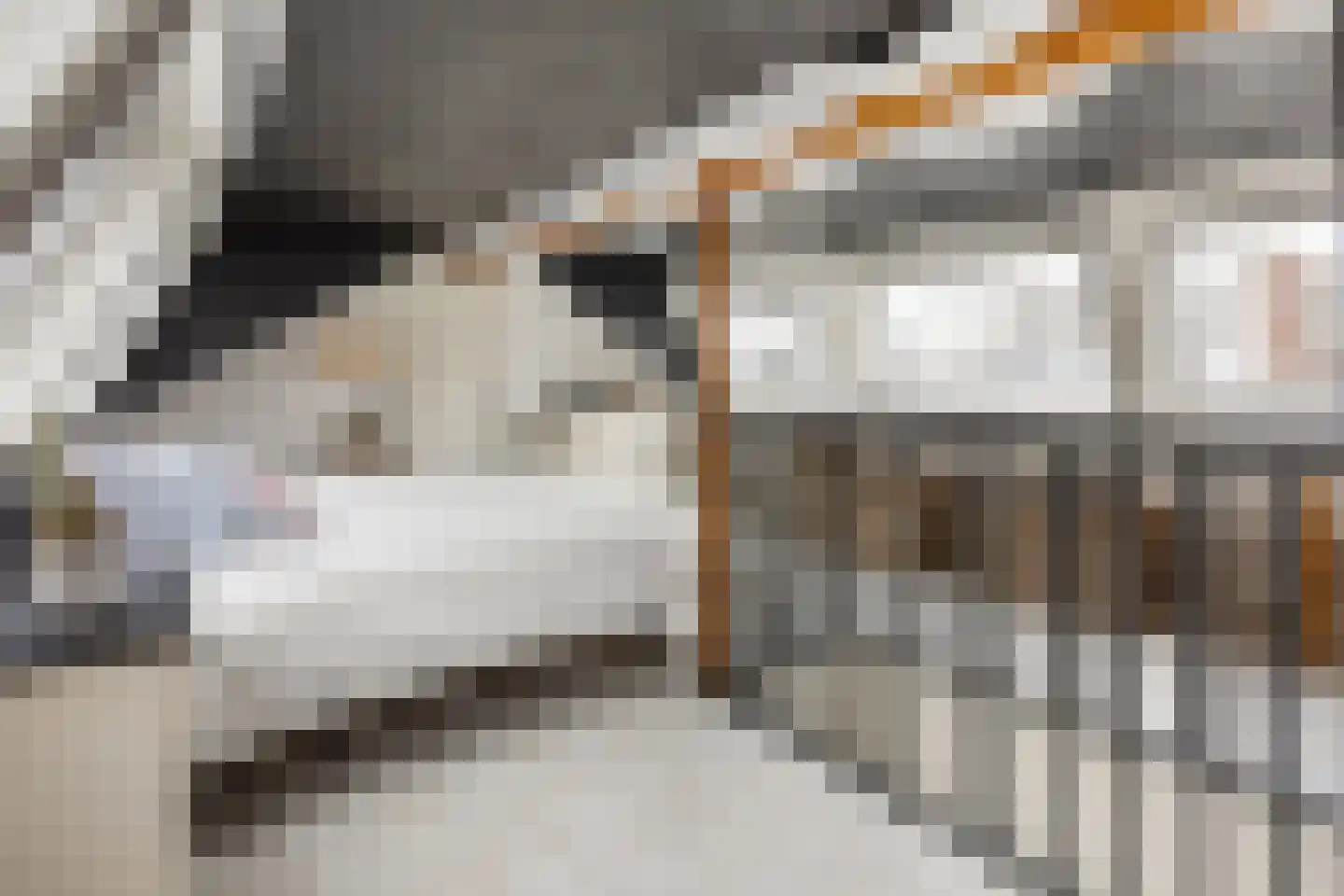 Peter Wotkehof 14 Amsterdam thumbnail 30