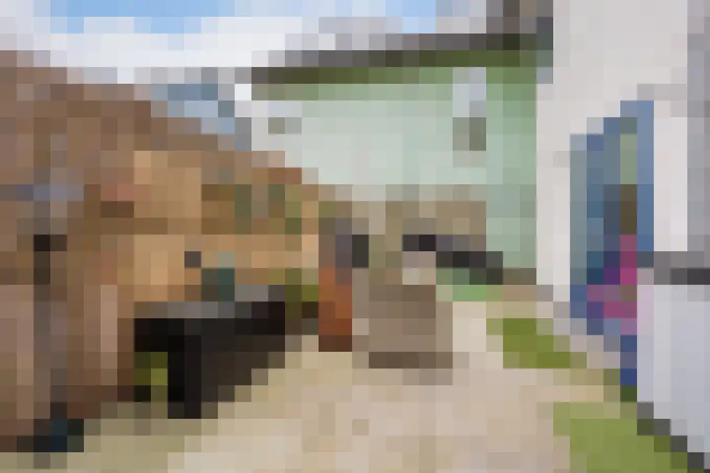 Peter Wotkehof 14 Amsterdam thumbnail 4