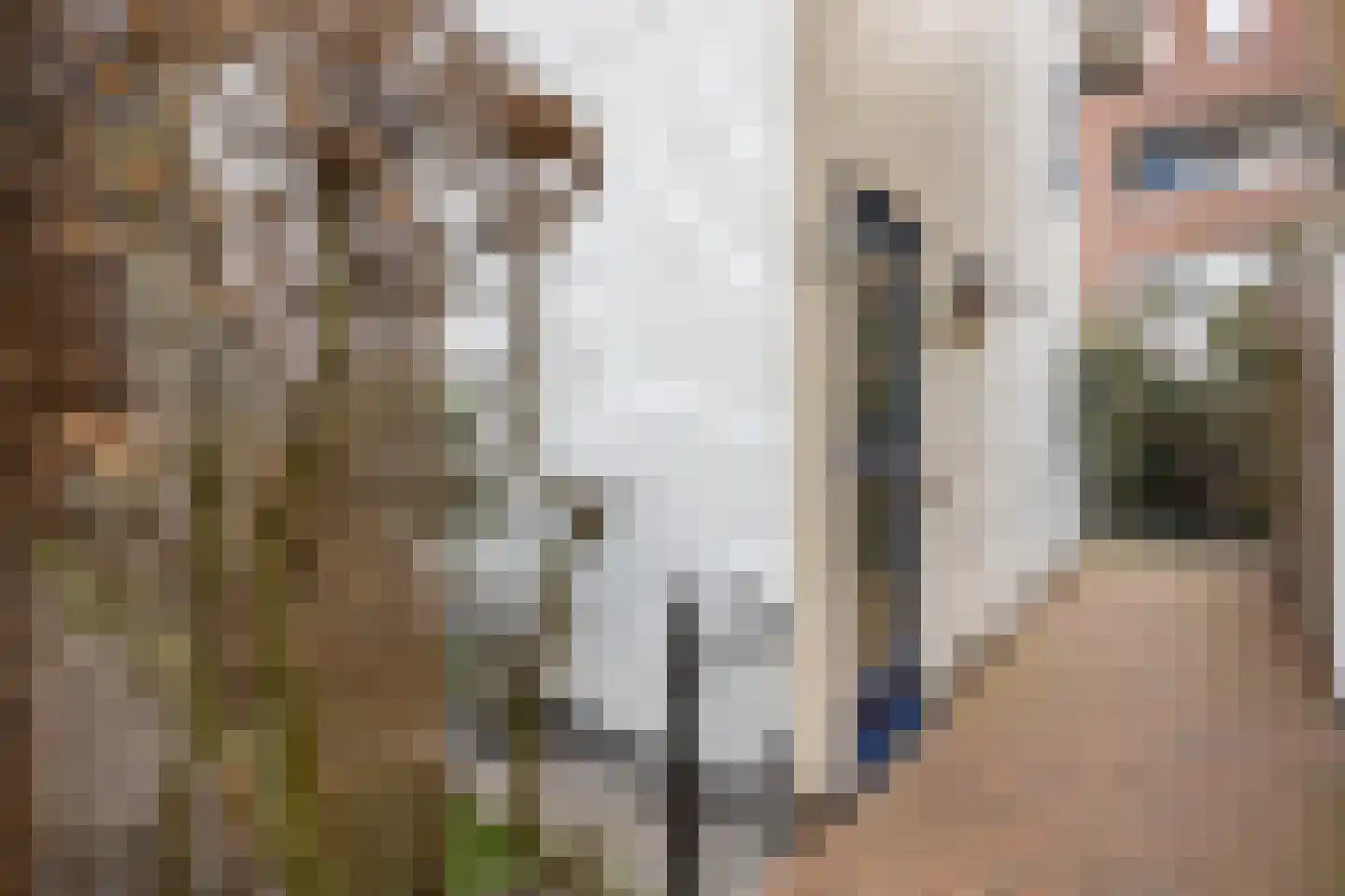 Peter Wotkehof 14 Amsterdam thumbnail 8