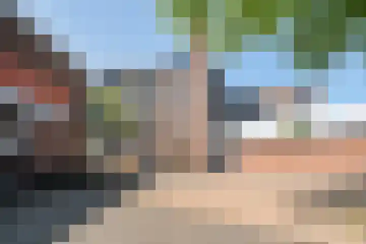 Peter Zuidhove 13 Zoetermeer thumbnail 4