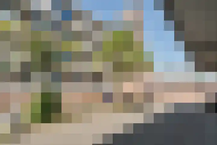 Peter Zuidhove 13 Zoetermeer thumbnail 6