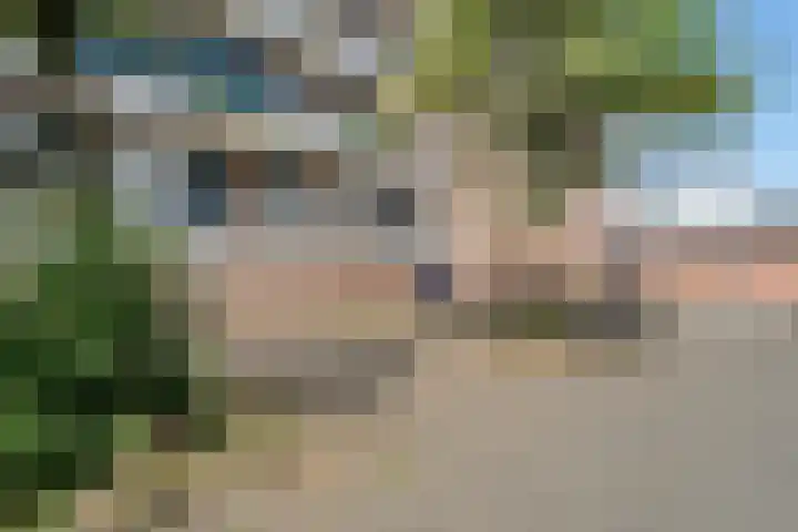 Peter Zuidhove 13 Zoetermeer thumbnail 7
