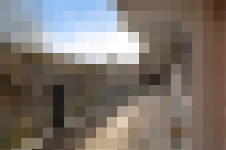 Peter Zuidhove 17 Zoetermeer thumbnail 11