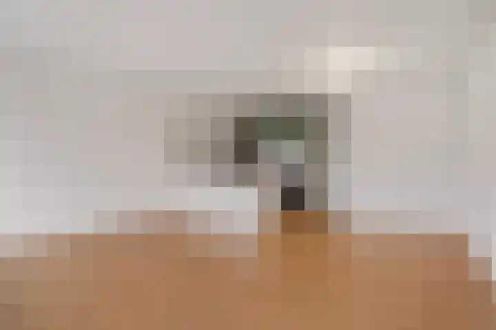 Peter Zuidhove 17 Zoetermeer thumbnail 18