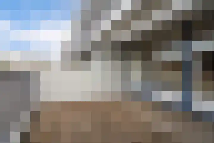 Peter Zuidhove 17 Zoetermeer thumbnail 28