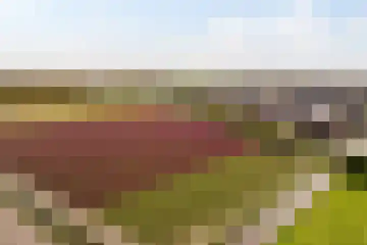 Peterhof 52 Noordwijk thumbnail 4