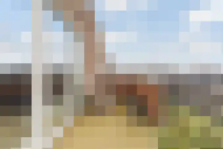 Peterhof 52 Noordwijk thumbnail 9