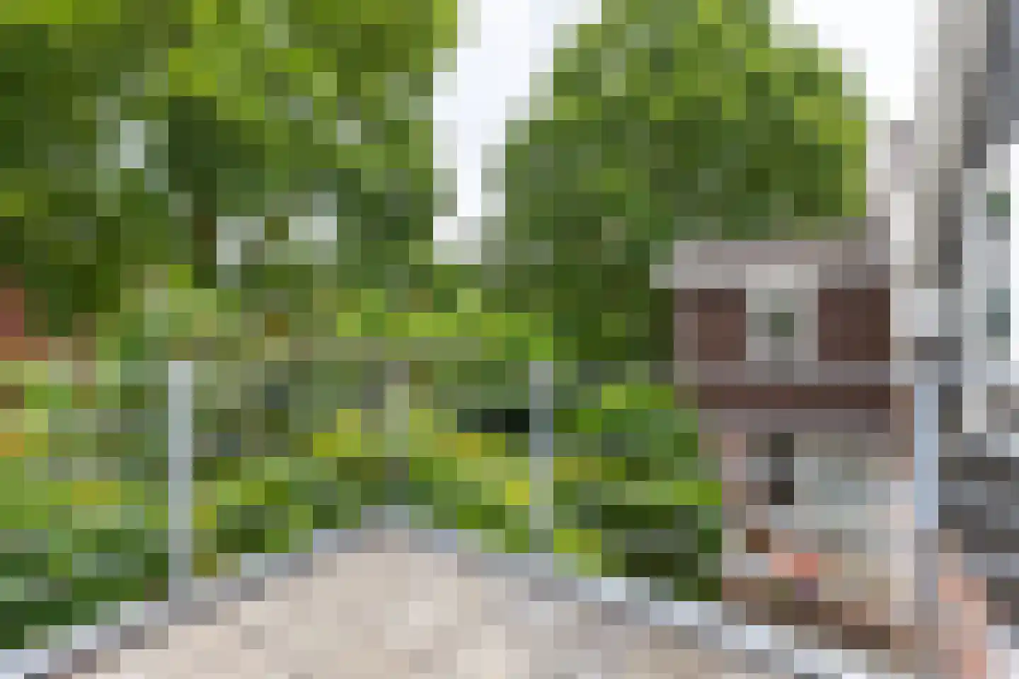 Petersburg 12 Nigtevecht thumbnail 33