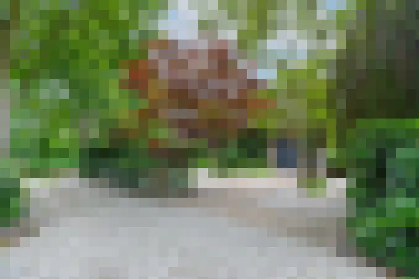 Petersburg 12 Nigtevecht thumbnail 54