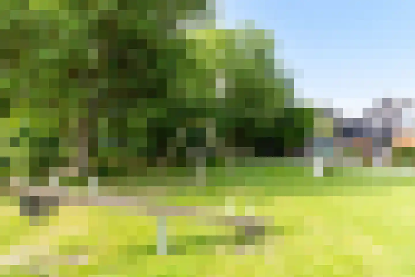 Petersburg 12 Nigtevecht thumbnail 55