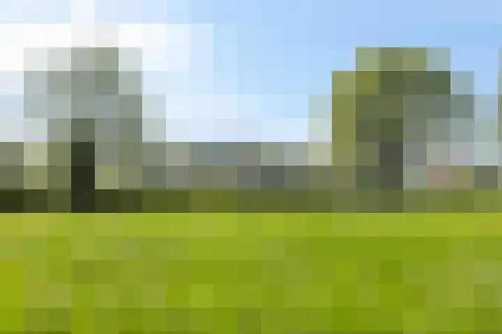 Petersdijk 2 Zelhem thumbnail 10