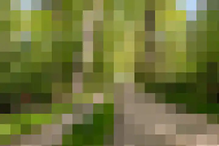 Petersdijk 2 Zelhem thumbnail 101