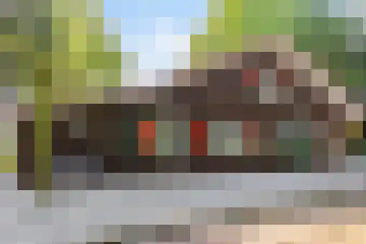 Petersdijk 2 Zelhem thumbnail 11