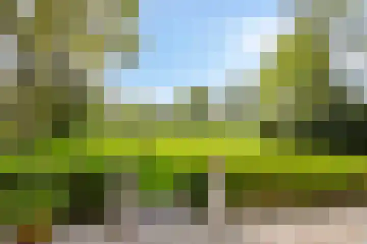 Petersdijk 2 Zelhem thumbnail 29