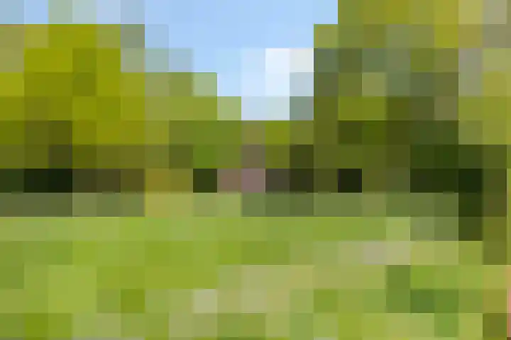 Petersdijk 2 Zelhem thumbnail 4
