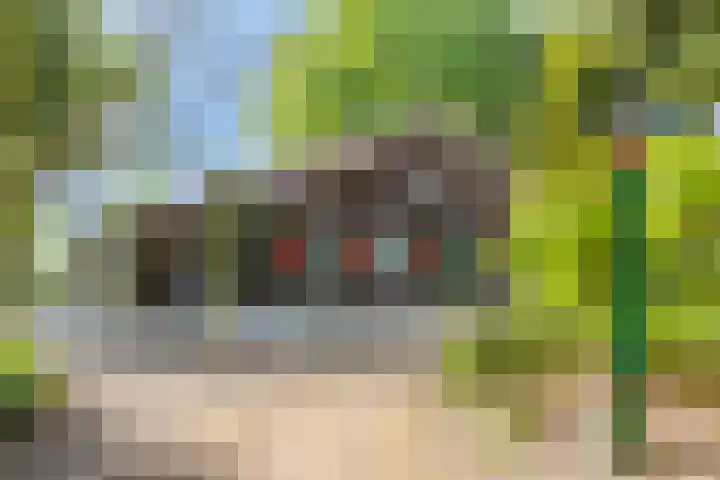 Petersdijk 2 Zelhem thumbnail 6
