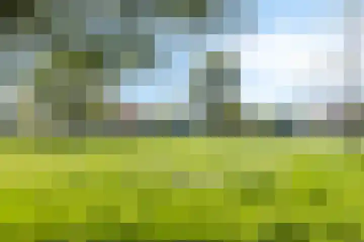 Petersdijk 2 Zelhem thumbnail 78
