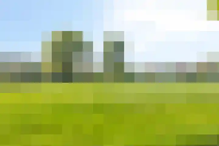 Petersdijk 2 Zelhem thumbnail 79