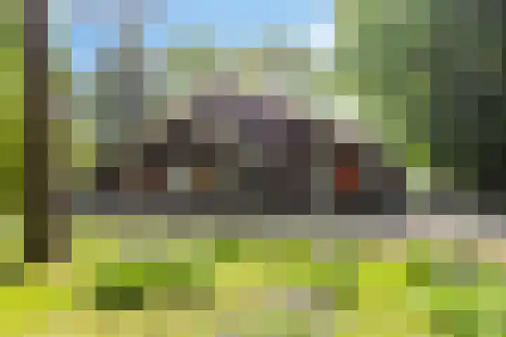 Petersdijk 2 Zelhem thumbnail 9