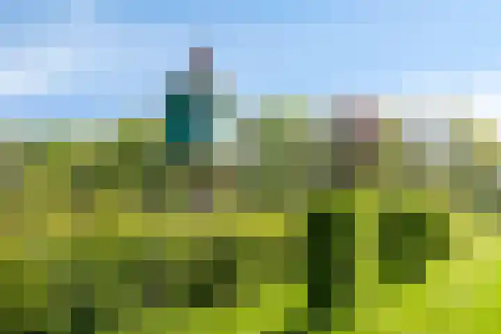 Petersdijk 2 Zelhem thumbnail 90