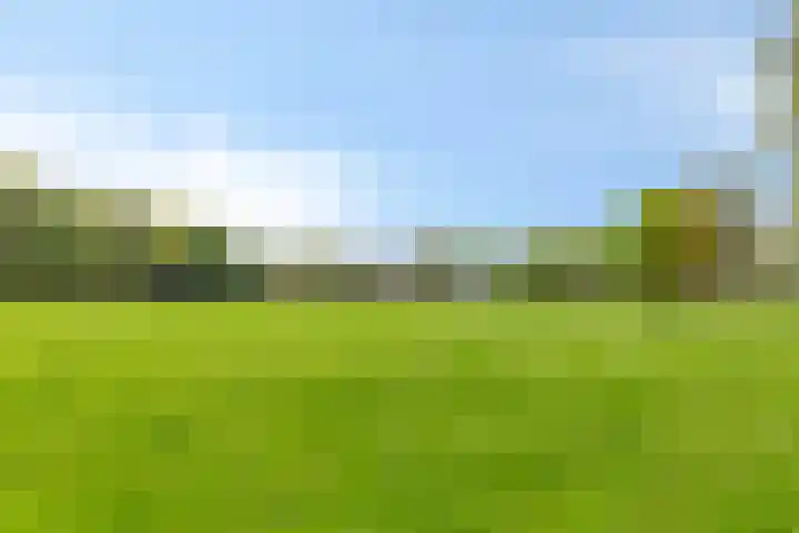 Petersdijk 2 Zelhem thumbnail 91